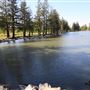 Roberts Lake