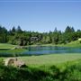 Robertson House Vacation Rental