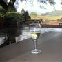 Raymond Burr Vineyards - Deer Creek Valley