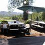 Raymond Burr Vineyards - Deer Creek Valley
