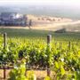 Schug Carneros Estate Winery