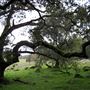 Tom Scott Ranch