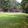 Westminster Woods