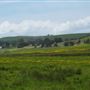 Tomales Rd