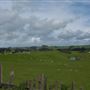 Tomales Rd
