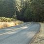 Greenwood Road