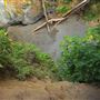 Little River Blowhole Trail