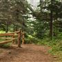 Little River Blowhole Trail