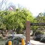 Shasta County Natural Landscapes & Parks