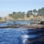 Buckhorn Cove