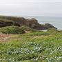 MacKerricher State Park (SP)