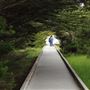 MacKerricher State Park (SP)