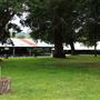 Mendocino County Fair and Apple Show