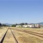 Willits