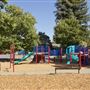 Willits City Park