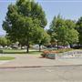 Alex Thomas Plaza