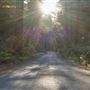 Orr Springs Road