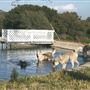 Freedom Ranch - Shadowlands Foundation - Wolves in California