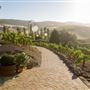 Viansa Sonoma Winery