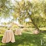 Richard Nixon Presidential Library & Museum / Oval Office / White House East Room / Cabinet Room / Pat Nixon Gardens