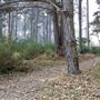 Belinda Point Public Access Trail