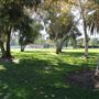 Arcadia Community Park