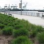 Port of Los Angeles - POLA / West Harbor / AltaSea Research Campus / Wilmington Waterfront Promenade