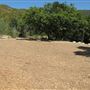 Placerita Canyon State Park (SP) / Placerita Canyon Natural Area / Placerita Nature Center