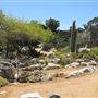 South Coast Botanic Garden