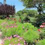 South Coast Botanic Garden