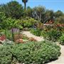 South Coast Botanic Garden