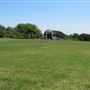 South Coast Botanic Garden