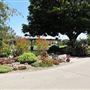 South Coast Botanic Garden
