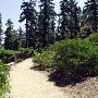 D.L. Bliss State Park (SP)