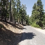 D.L. Bliss State Park (SP)