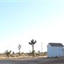 Joshua Tree Garden / Joshuatreezone19
