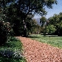 Descanso Gardens