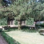 Dry Creek Vineyard