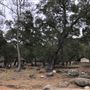 The Lawrence M. Daley Camp and Conference Center, Camp Gilmore, Camp Daley, & Wilderness