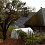 Heartwood Mountain Sanctuary