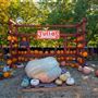 Julia's Fruit Stand