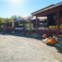 Julia's Fruit Stand