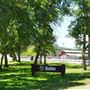 R Wild Horse Ranch