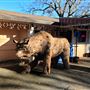 Pumpkinland Chocolate Company