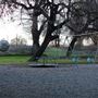 Habert Park