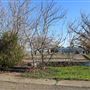 Ridgeway Park