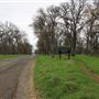 Sacramento River Bend