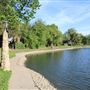 Ellis Lake