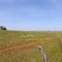 Wheatland