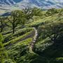 Carnegie State Vehicular Recreation Area (SVRA)